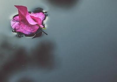 祝老板生意兴隆的句子(70句)