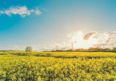 离开的句子说说心情(必备50句)