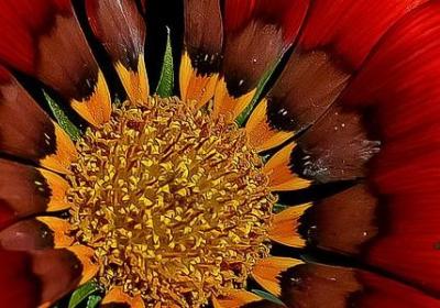 祝福婚姻的句子(50句)