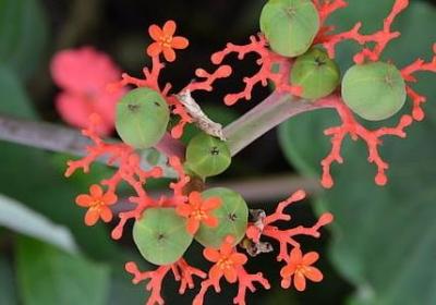 离婚快乐的句子(共40句)