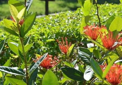 离开世界的句子(精选50句)