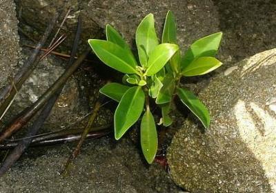 秋天美景的句子(热门30句)