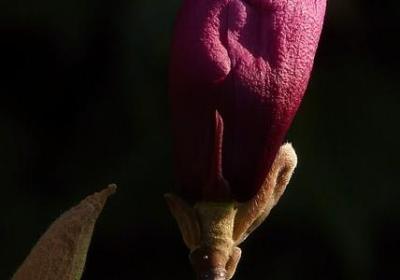 祝朋友身体健康的句子(汇总60句)