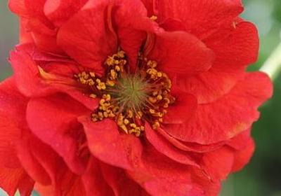 祝福全家幸福的句子(实用50句)