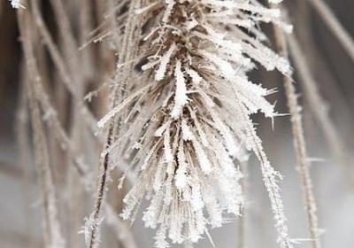 祝福小女孩生日快乐的句子(精选49句)