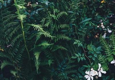 祝福好运的句子(必备50句)