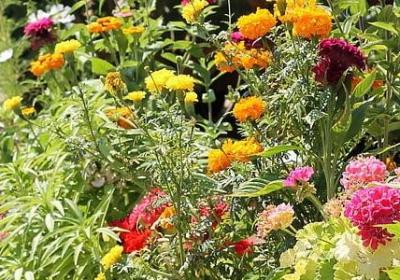 祝福孩子成长的句子(实用80句)