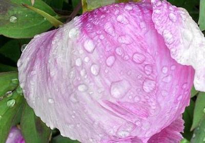 福祸相依的句子(必备15句)