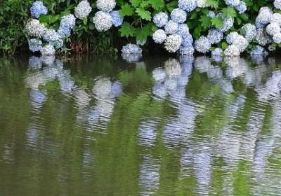 离开丽江的唯美句子(共20句)