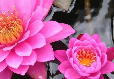 祝福一路顺风的句子(必备40句)