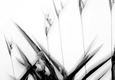 祝福朋友的句子(69句)