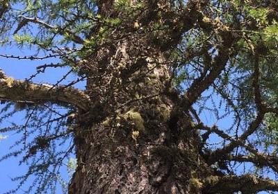 祝自己好运的句子(精选50句)