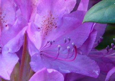 秋天的描述唯美句子(实用60句)