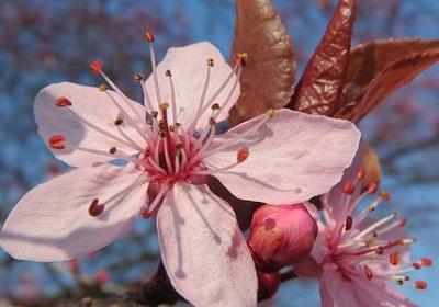 祝福美女生日快乐的句子(精选50句)