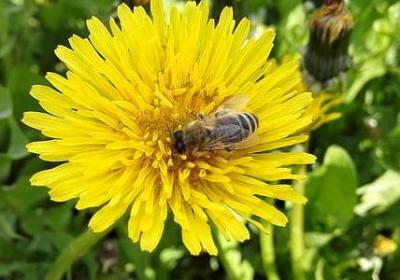 祝老师的句子(通用50句)