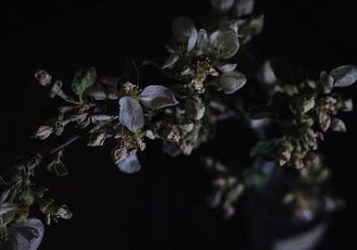 离开亲人不舍的句子(通用60句)