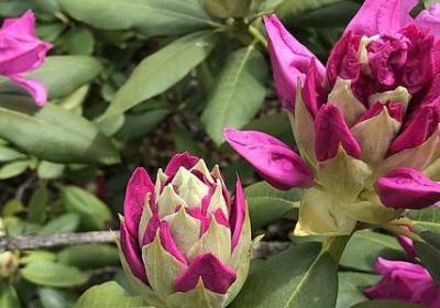 祝福玩的开心的句子(精选80句)