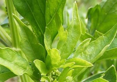 祝福新人的唯美句子(精选80句)