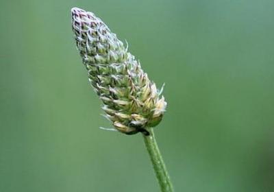 祝福病人的句子(推荐70句)