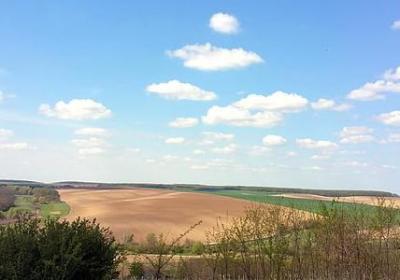 祝福大卖的句子(热门50句)