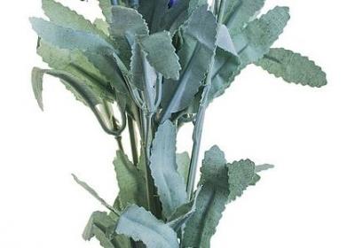 祝福朋友快乐的句子(推荐60句)