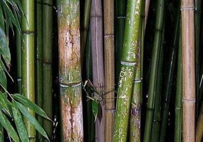 祝福的句子唯美简短(通用50句)