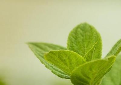 秋天丰收的景象的句子(实用10句)