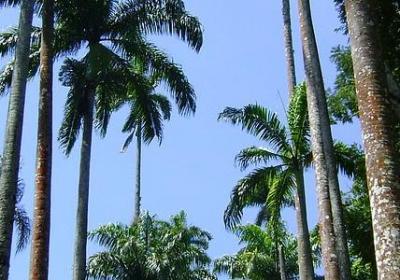 祝福的句子唯美八个字(汇总50句)