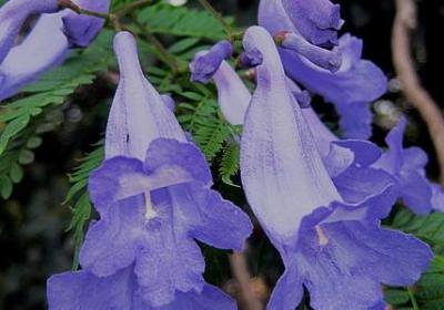 神态描写的句子100字(60句)