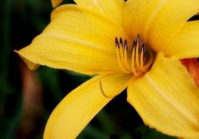 祝福祖国的简短句子(推荐60句)