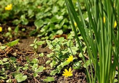 祝福发财的幽默句子(汇总50句)