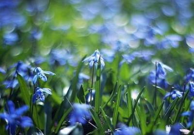 祝福成绩好的句子(合集40句)