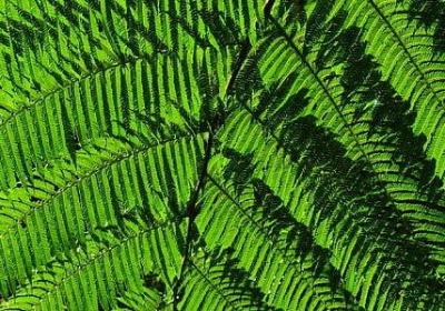 祝福成功的句子(必备70句)