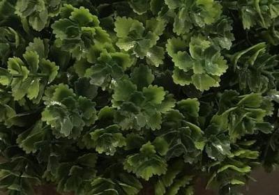 祝老公生日快乐的搞笑句子(热门40句)