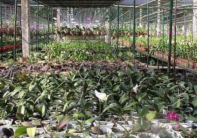 祝福姐姐幸福的句子(热门50句)