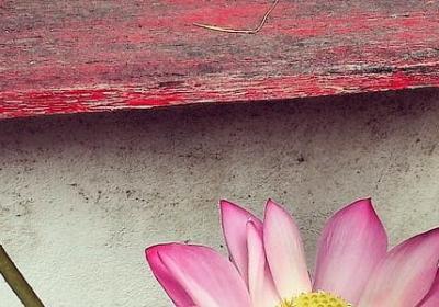 秋裤的搞笑句子(90句)