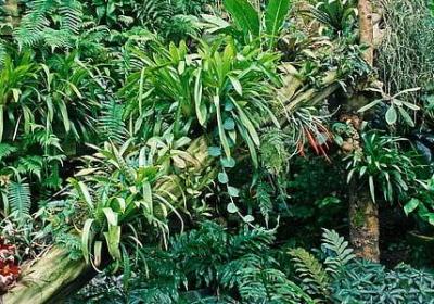 祝福同学的句子(热门80句)