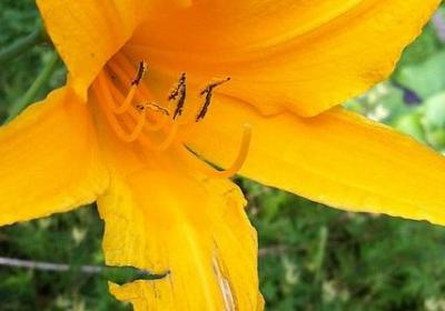 祝福创业顺利的句子(推荐60句)