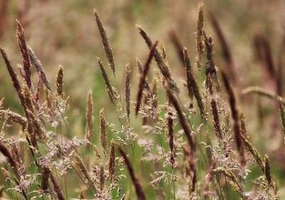 简短的超甜句子(通用88句)