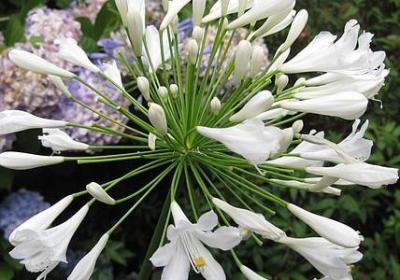 精神鼓励的句子(必备70句)