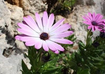 穿透人心的经典句子(共90句)