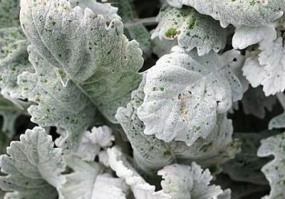 等待时间的句子(实用80句)