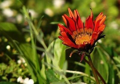 竞争激烈的句子(热门60句) 竞争激烈的句子(热门60句)