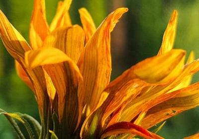 突然的句子(精选60句)