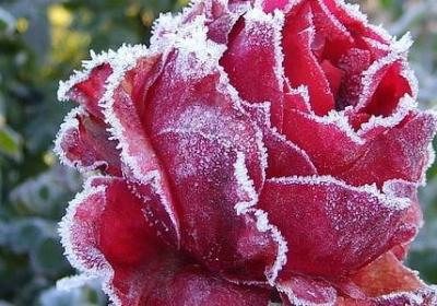 类似陌上人如玉公子世无双的句子(实用60句)