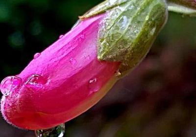 突然心情低落的句子(实用40句)