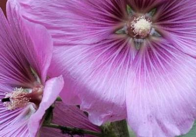 等待过程难熬的句子(50句)