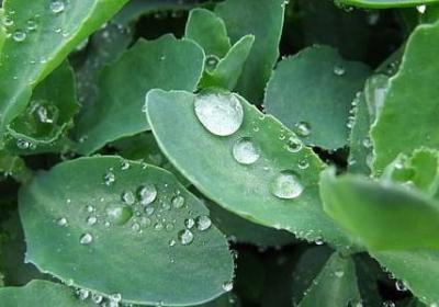 简单的晚安唯美句子(汇总50句)