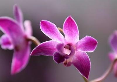 等心爱的人归来的句子(实用50句)