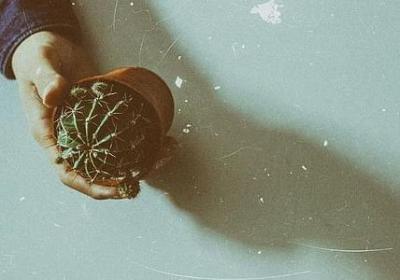 等一个人的句子简短(汇总60句)